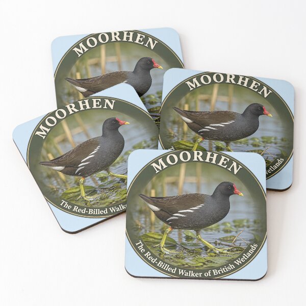Item preview, MOORHEN    – The Red‑Billed Walker of British Wetlands designed and sold by The Digital Compass.