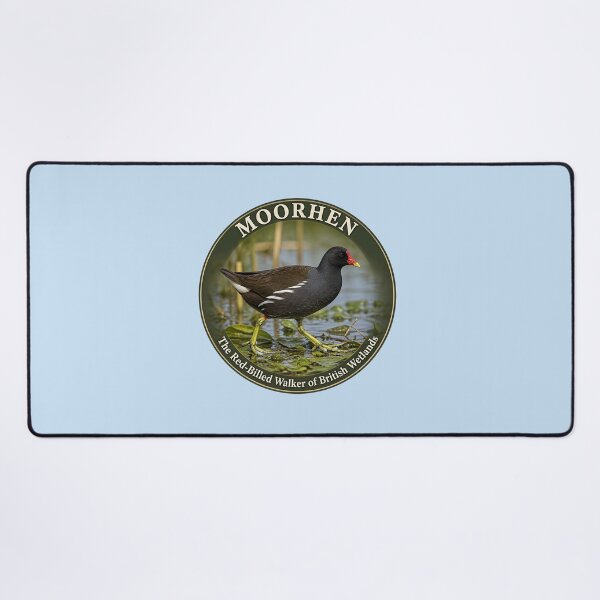 Item preview, MOORHEN    – The Red‑Billed Walker of British Wetlands designed and sold by The Digital Compass.