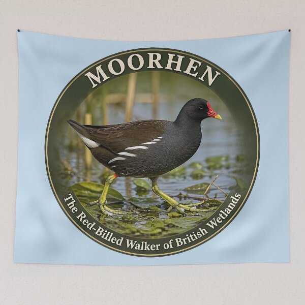Item preview, MOORHEN    – The Red‑Billed Walker of British Wetlands designed and sold by The Digital Compass.