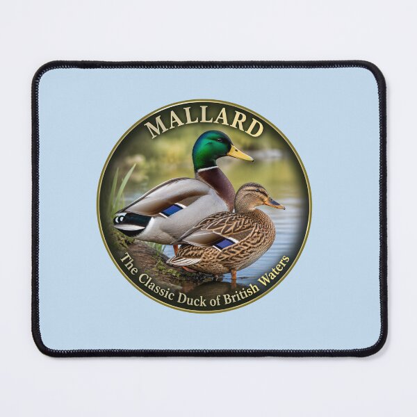 Item preview,  MALLARD   – The Classic Duck of British Waters designed and sold by The Digital Compass.