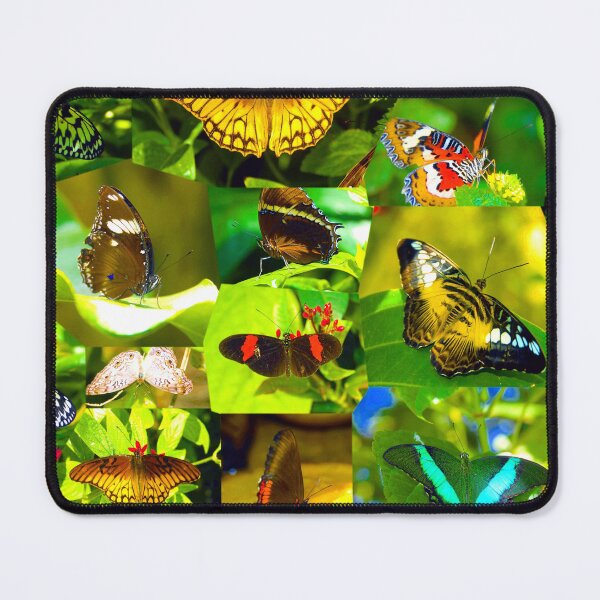 Item preview, Butterfly Beauty designed and sold by Dlt1981.