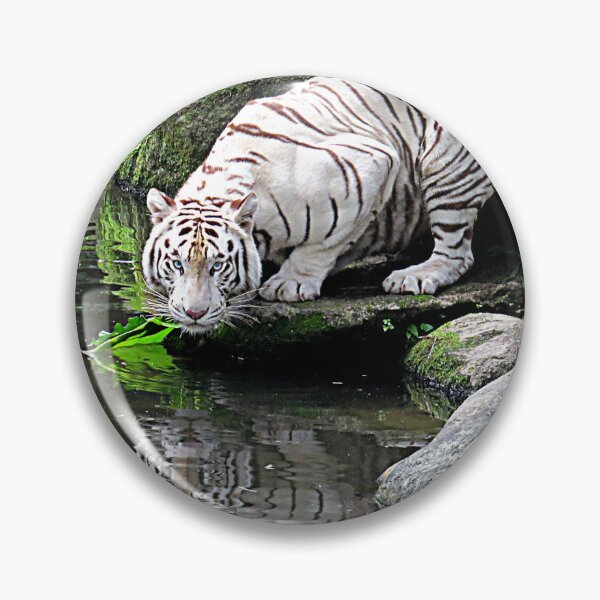 Item preview, White Tiger and Reflection in Water designed and sold by Linda Walsh.