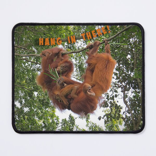 Item preview, Hang in There! Family of Orangutans designed and sold by Linda Walsh.