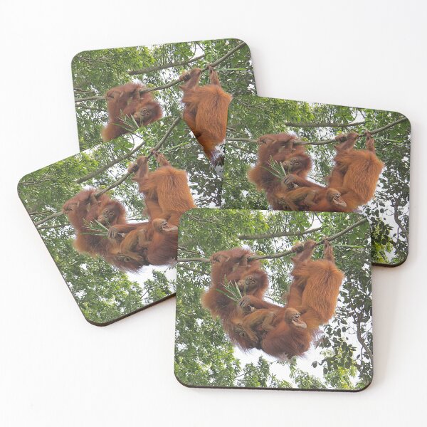 Item preview, Orangutans Hanging Together designed and sold by Linda Walsh.