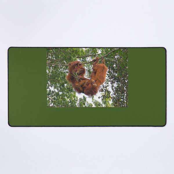 Item preview, Orangutans Hanging Together designed and sold by Linda Walsh.