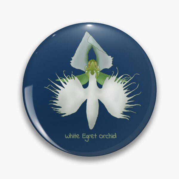 Item preview, White egret orchid (pecteilis radiata) designed and sold by Floralfusion.