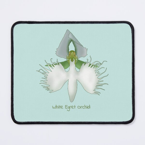 Item preview, White egret orchid (pecteilis radiata) designed and sold by Floralfusion.