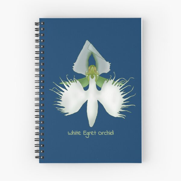 Item preview, White egret orchid (pecteilis radiata) designed and sold by Floralfusion.