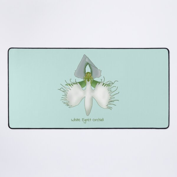 Item preview, White egret orchid (pecteilis radiata) designed and sold by Floralfusion.