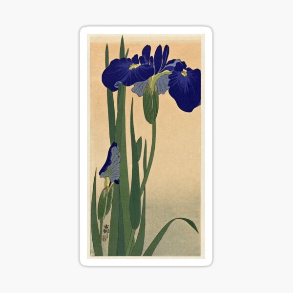 Blue Irises Sticker