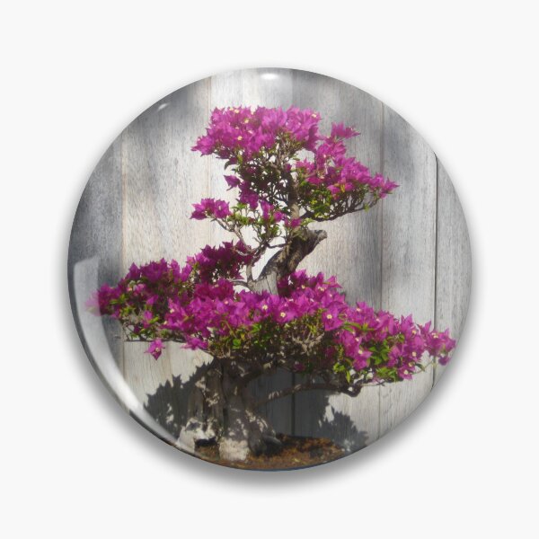 Item preview, Rich Magenta Bougainvillea Bonsai designed and sold by JoyousArt4u.