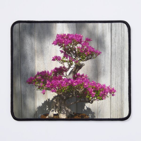 Item preview, Rich Magenta Bougainvillea Bonsai designed and sold by JoyousArt4u.