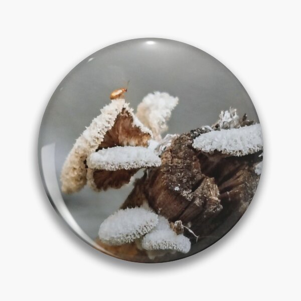 Item preview, Insects and fungi designed and sold by CeciliaGomezArt.