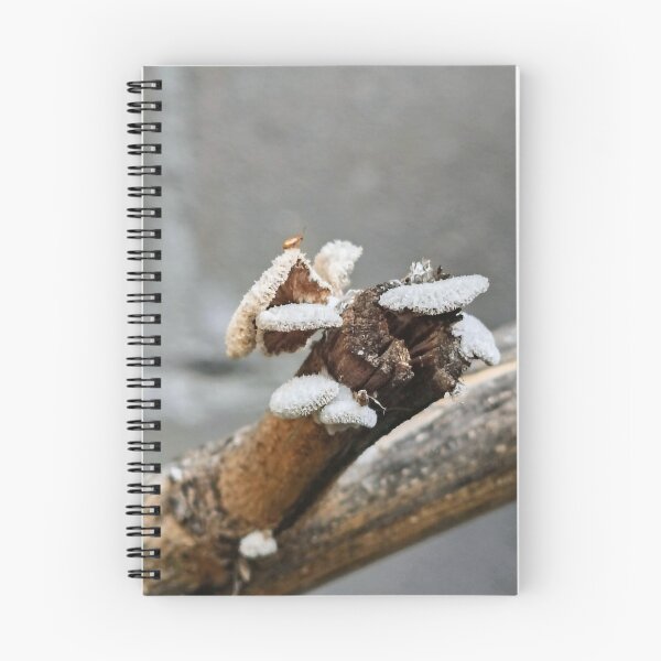 Item preview, Insects and fungi designed and sold by CeciliaGomezArt.
