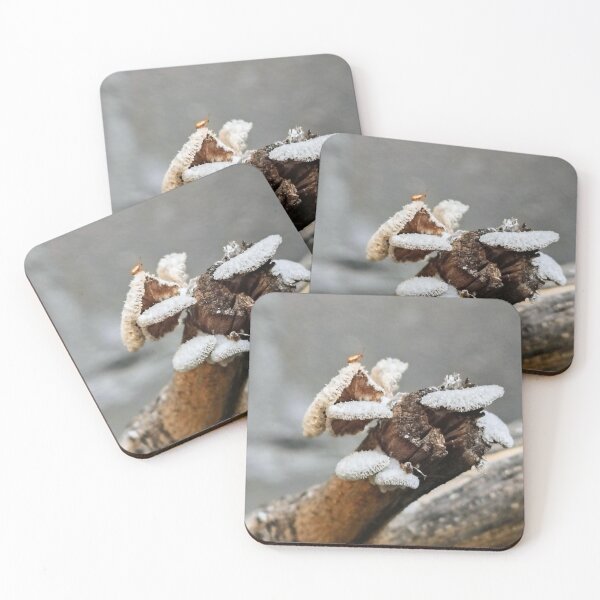 Item preview, Insects and fungi designed and sold by CeciliaGomezArt.