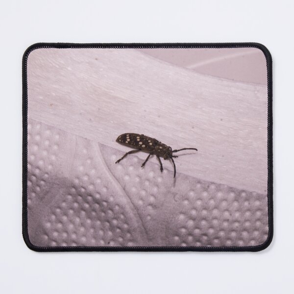 Item preview, Longhorn Beetle designed and sold by ROSE ANN BANILAR.