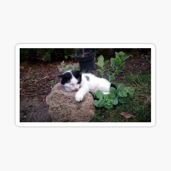 Timmi macht ein Nickerchen Sticker