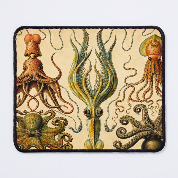 Item preview, Vintage Octopus Illustration Marine Life Art for Ocean Lovers designed and sold by RickE.