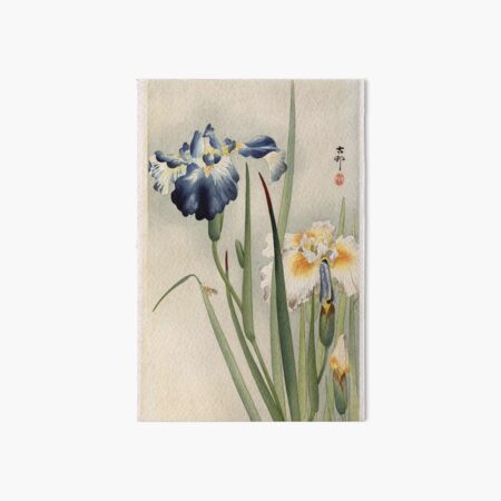 Irissen Art Board Print