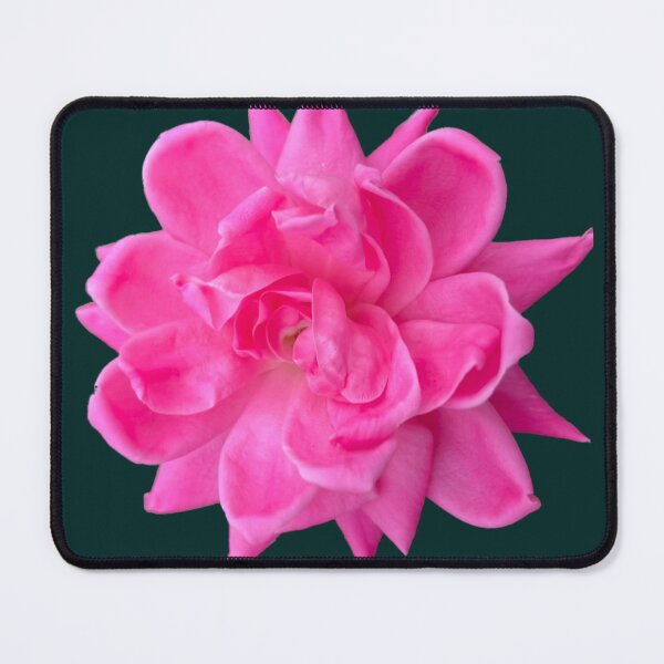 Item preview, Pink Rose designed and sold by Amanda1775.