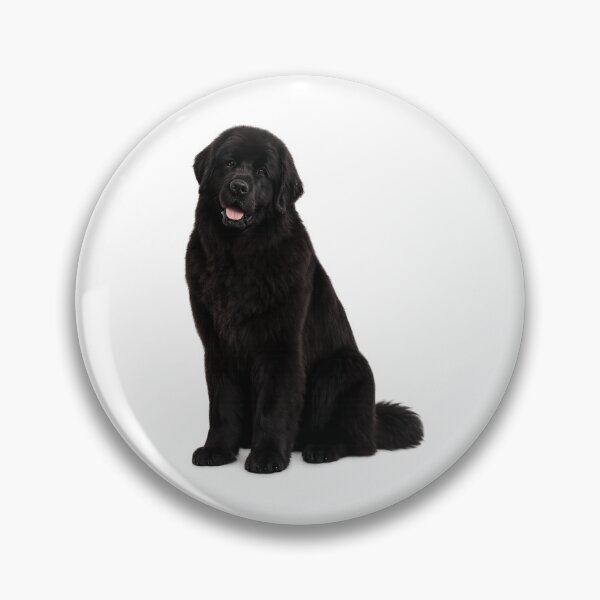 Item preview, Newfoundland Dog Black designed and sold by BackgroundND.