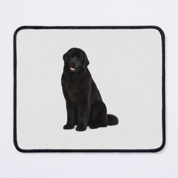 Item preview, Newfoundland Dog Black designed and sold by BackgroundND.