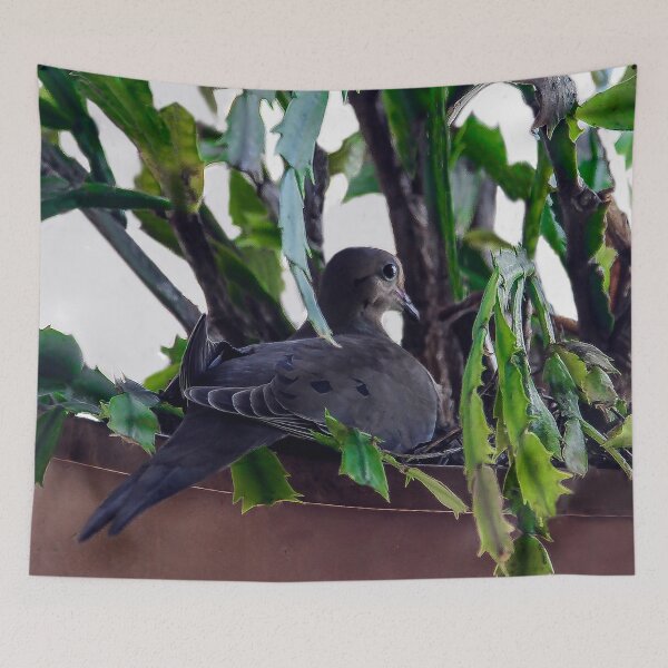 Item preview, Daddy Dove in the Nest designed and sold by heatherfriedman.