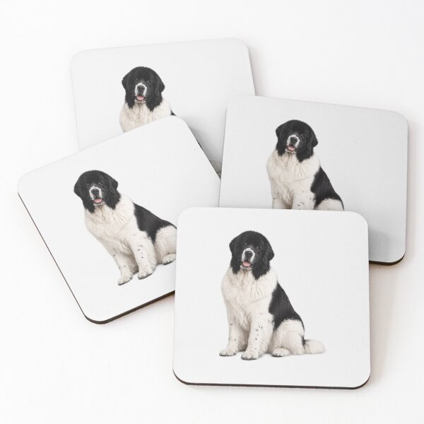 Item preview, Newfoundland Dog Black and White designed and sold by BackgroundND.