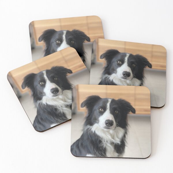 Item preview, Border Collie  designed and sold by MarjorieHenry.