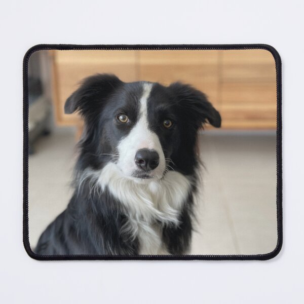Item preview, Border Collie designed and sold by MarjorieHenry.