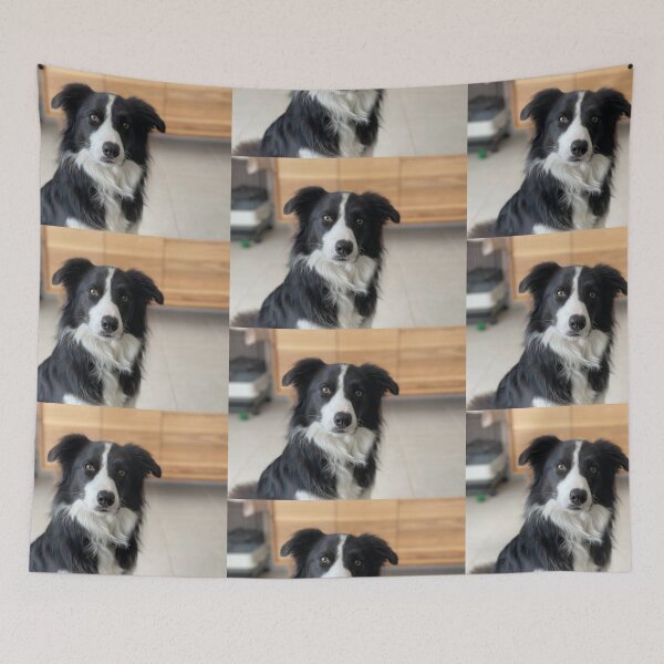 Item preview, Border Collie  designed and sold by MarjorieHenry.