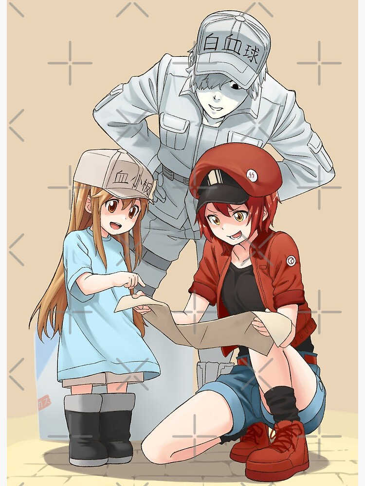 White Blood Cell, Hataraku Saibou (Cells at Work) Art Board Print for  Sale by Jake Hunter