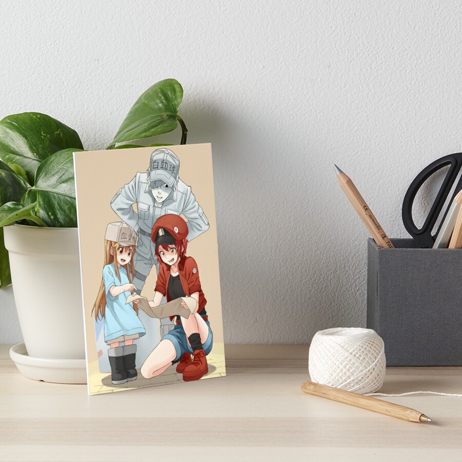 Red Blood Cell & Platelet | Hataraku Saibou (Cells at Work) Sticker for  Sale by Jake Hunter