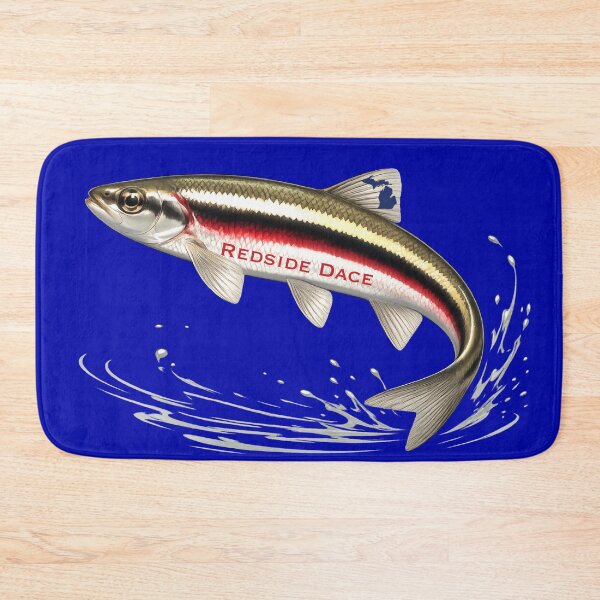 Item preview, Redside Dace | Great Lakes Native Fish designed and sold by FreshWaterWares.