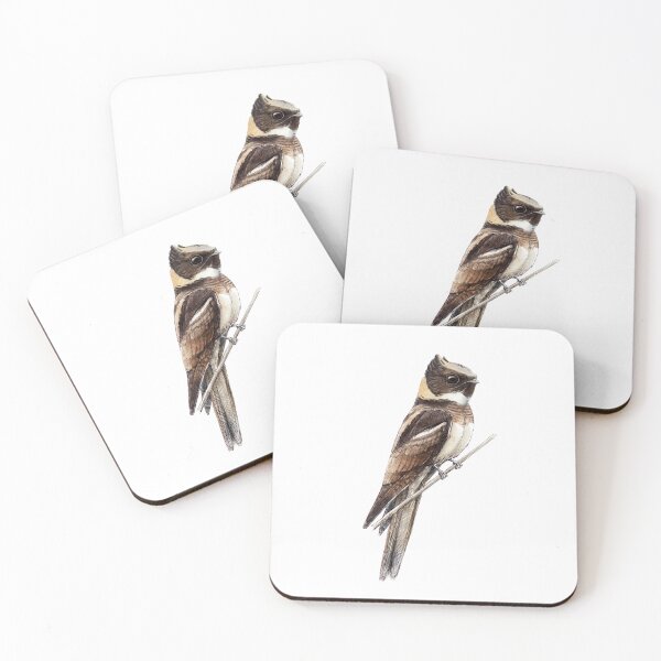 Item preview, Highly detailed scientific illustrations of Great Eared Nightjar in a vintage natural history book style designed and sold by wonderisland.