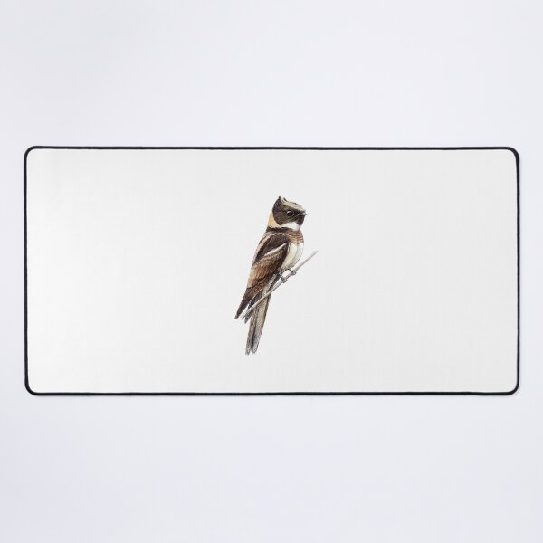 Item preview, Highly detailed scientific illustrations of Great Eared Nightjar in a vintage natural history book style designed and sold by wonderisland.