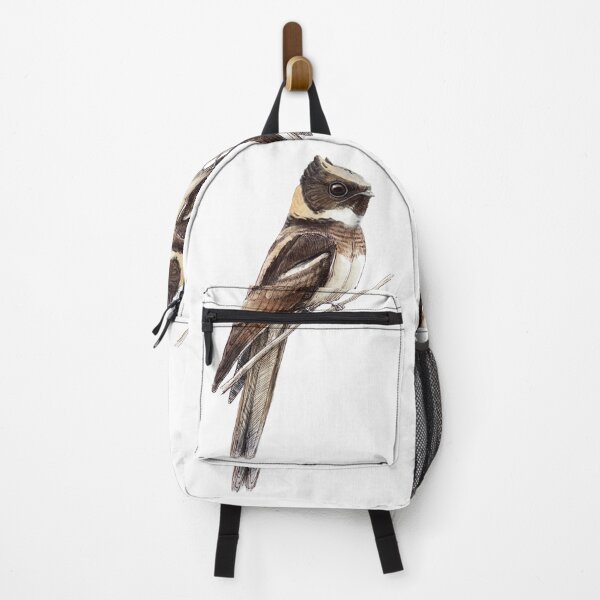 Item preview, Highly detailed scientific illustrations of Great Eared Nightjar in a vintage natural history book style designed and sold by wonderisland.