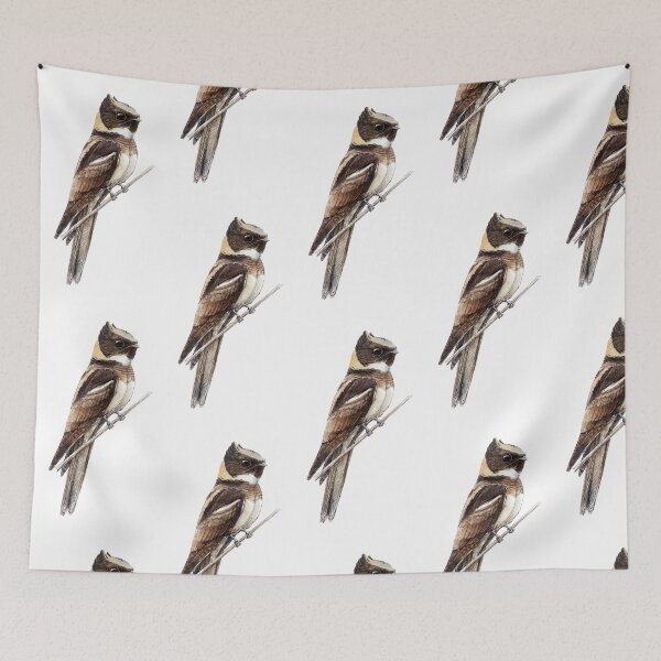 Item preview, Highly detailed scientific illustrations of Great Eared Nightjar in a vintage natural history book style designed and sold by wonderisland.