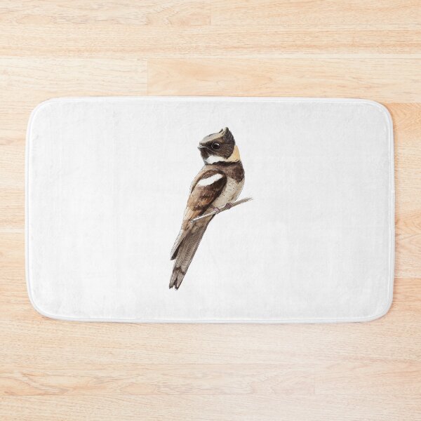 Item preview, Highly detailed scientific illustrations of Great Eared Nightjar in a vintage natural history book style designed and sold by wonderisland.