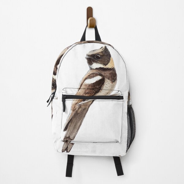 Item preview, Highly detailed scientific illustrations of Great Eared Nightjar in a vintage natural history book style designed and sold by wonderisland.