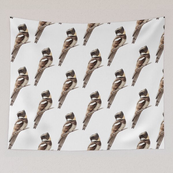 Item preview, Highly detailed scientific illustrations of Great Eared Nightjar in a vintage natural history book style designed and sold by wonderisland.