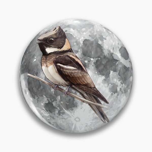 Item preview, Highly detailed scientific illustrations full moon and  Great Eared Nightjar in a vintage natural history book style designed and sold by wonderisland.