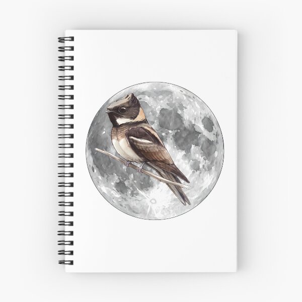 Item preview, Highly detailed scientific illustrations full moon and  Great Eared Nightjar in a vintage natural history book style designed and sold by wonderisland.