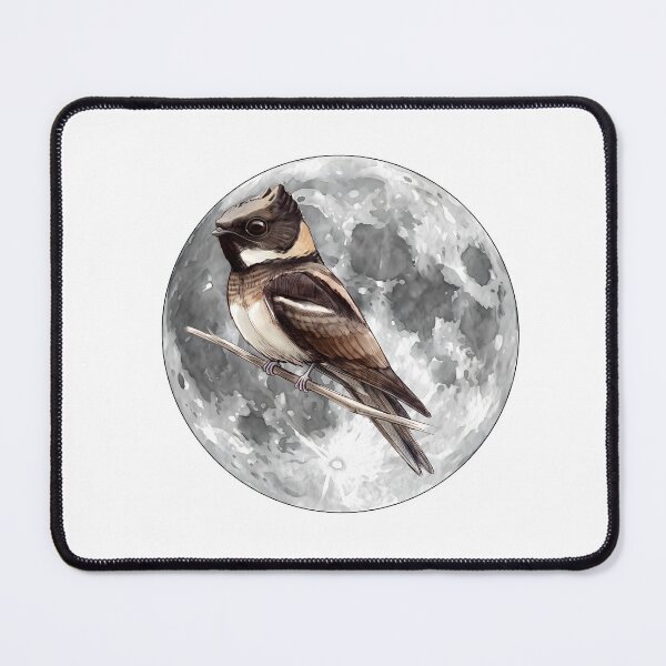Item preview, Highly detailed scientific illustrations full moon and Great Eared Nightjar in a vintage natural history book style designed and sold by wonderisland.