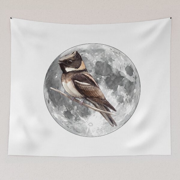 Item preview, Highly detailed scientific illustrations full moon and  Great Eared Nightjar in a vintage natural history book style designed and sold by wonderisland.