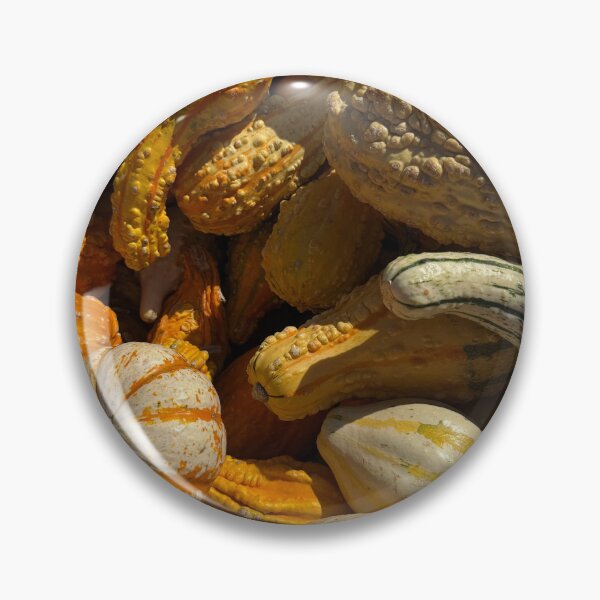 Item preview, Knobbly Squash designed and sold by ArtwithaFriend.