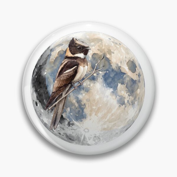 Item preview, Highly detailed scientific illustrations full moon and  Great Eared Nightjar in a vintage natural history book style designed and sold by wonderisland.
