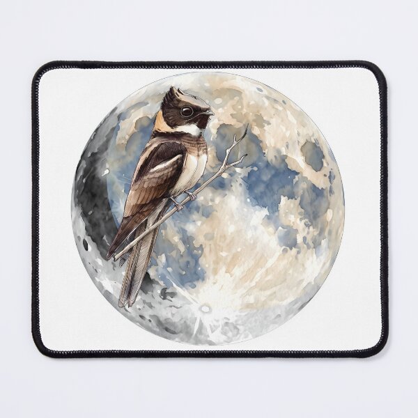 Item preview, Highly detailed scientific illustrations full moon and  Great Eared Nightjar in a vintage natural history book style designed and sold by wonderisland.
