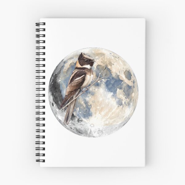 Item preview, Highly detailed scientific illustrations full moon and  Great Eared Nightjar in a vintage natural history book style designed and sold by wonderisland.