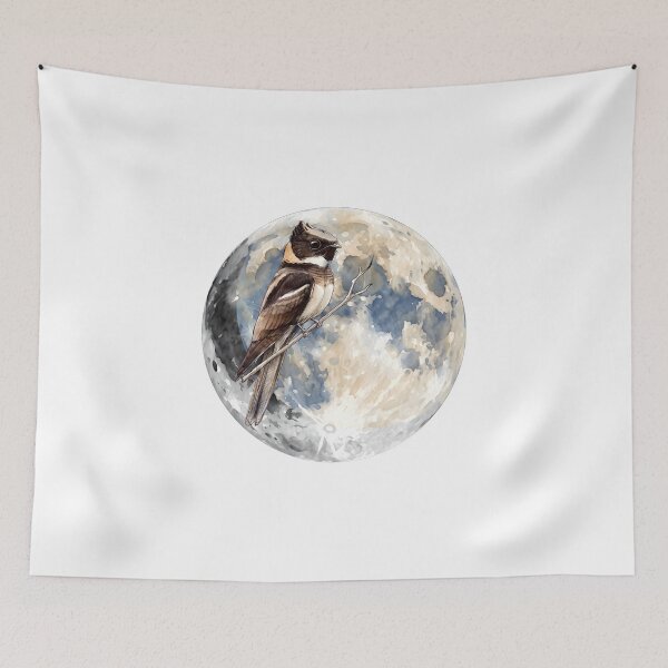 Item preview, Highly detailed scientific illustrations full moon and  Great Eared Nightjar in a vintage natural history book style designed and sold by wonderisland.